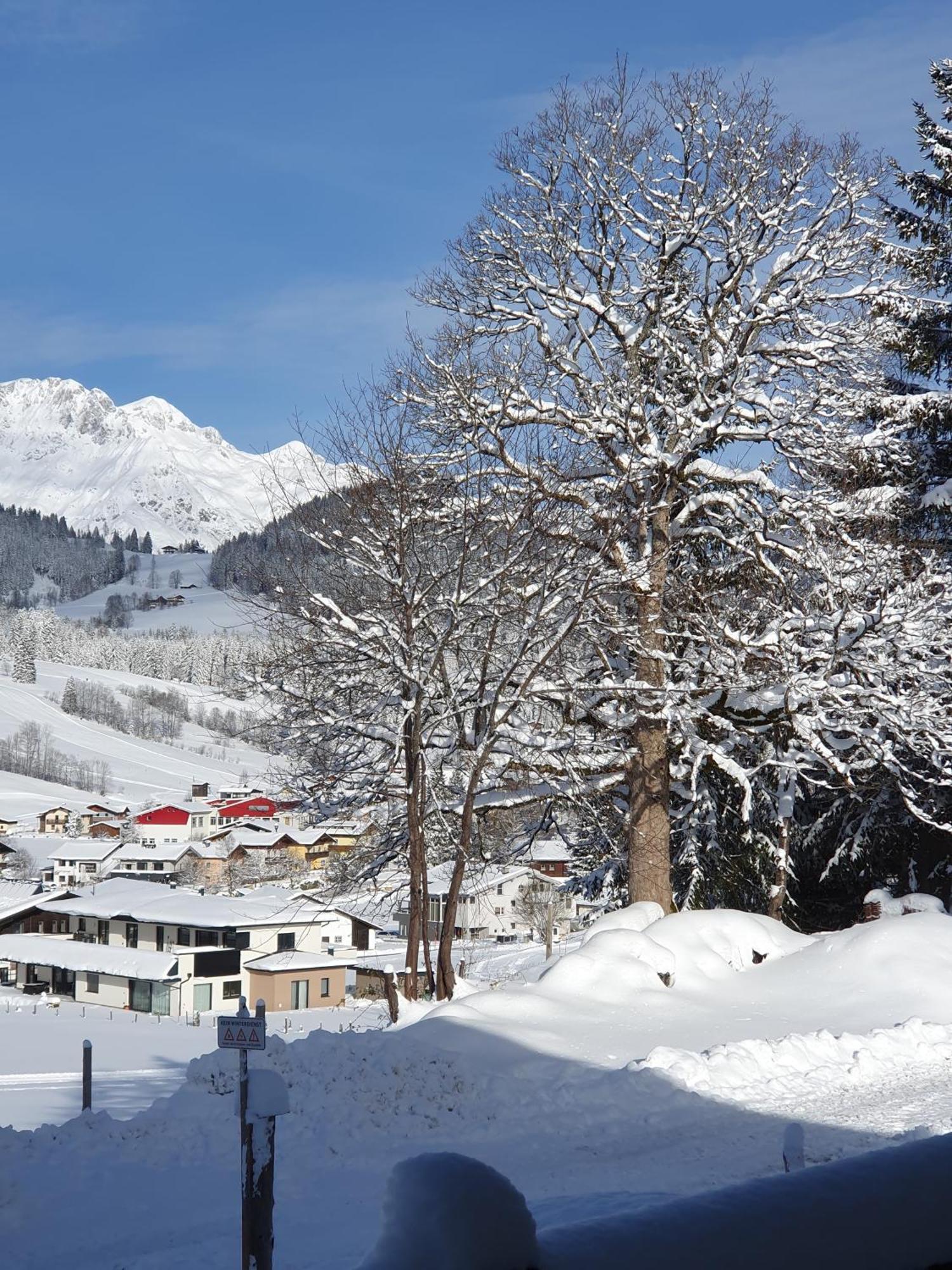 Boutique Hotel Alpenhof Sankt Martin am Tennengebirge Exterior foto